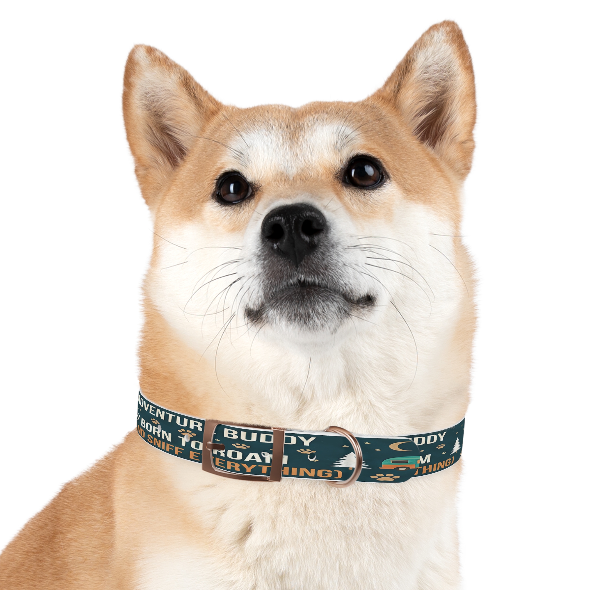 12904905649030265139_4096.jpeg Dog Collar — 'Born to Roam (and Sniff Everything)' Outdoor Pet Collar