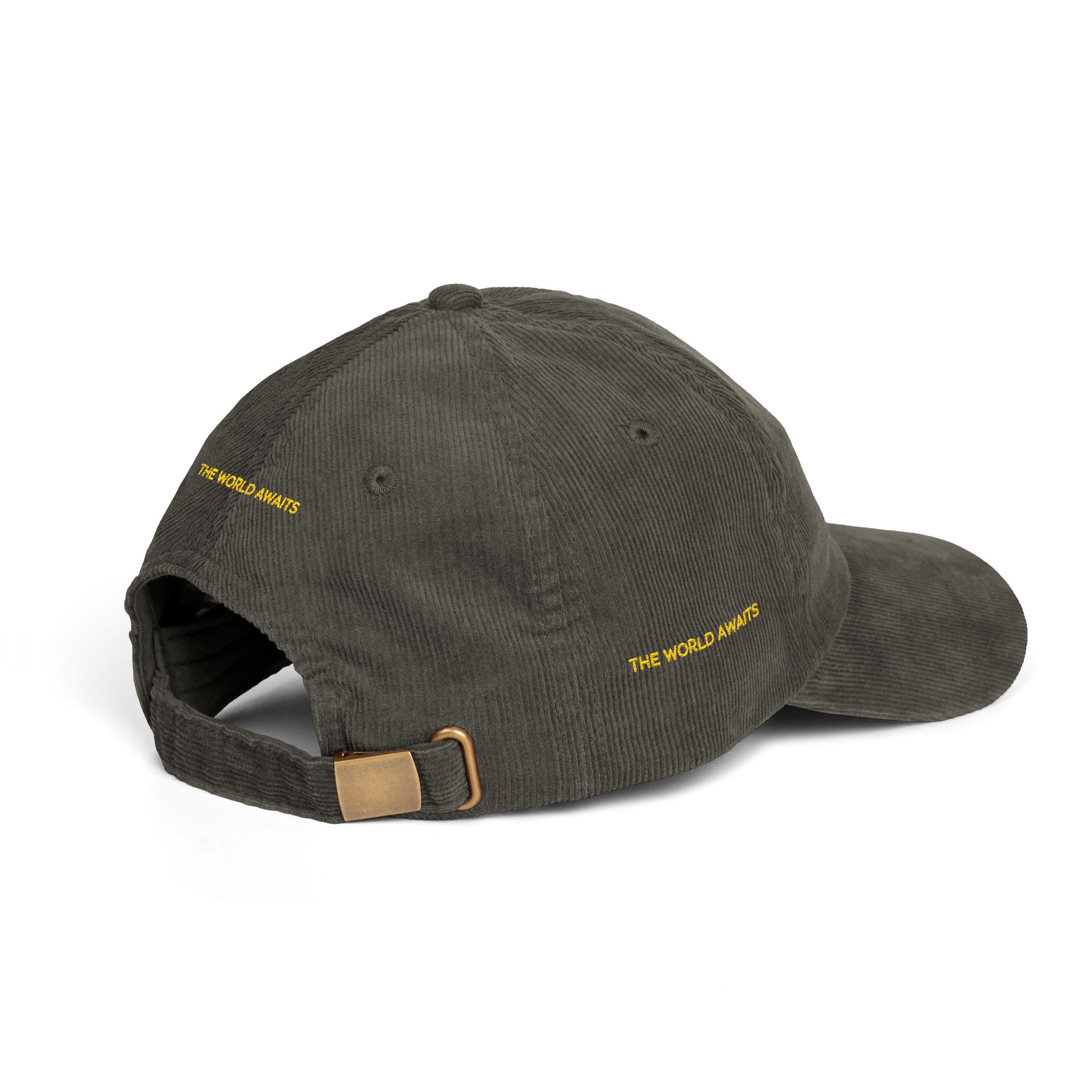 Vintage Corduroy Cap (Embroidery) — "The Worlds Awaits" Embroidered Hat
