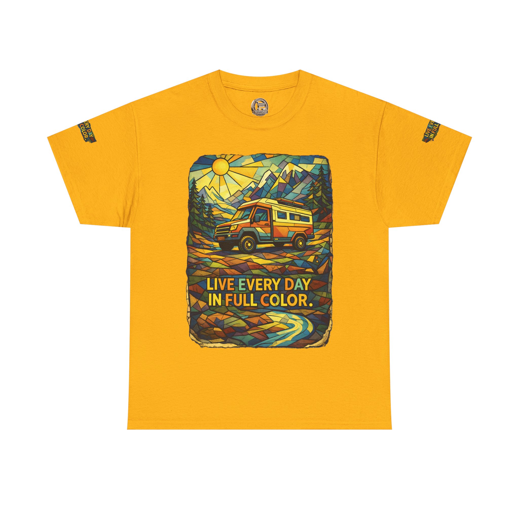 17180580735519497681_2048.jpeg Unisex Heavy Cotton Tee — "Live Life Every Day In Full Color" Design Cubic-Line