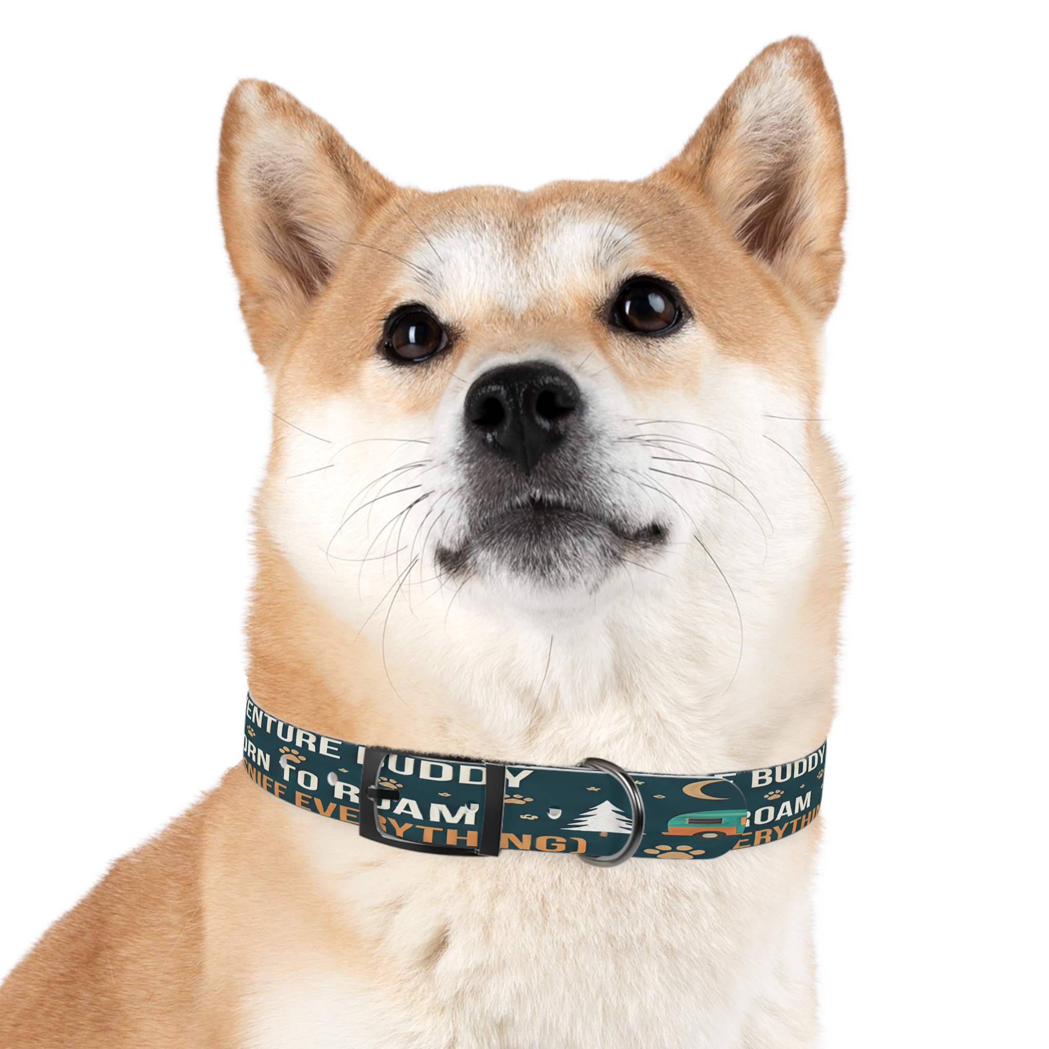 19622259329323935_4096.jpeg Dog Collar — 'Born to Roam (and Sniff Everything)' Outdoor Pet Collar