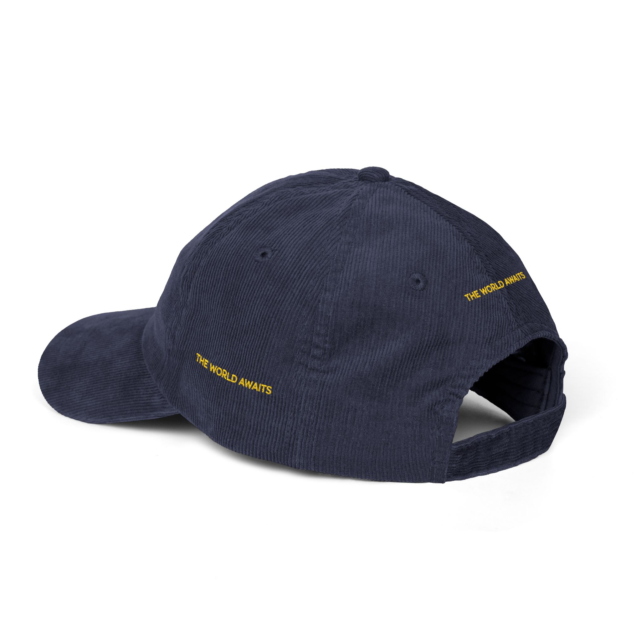 Vintage Corduroy Cap (Embroidery) — "The Worlds Awaits" Embroidered Hat