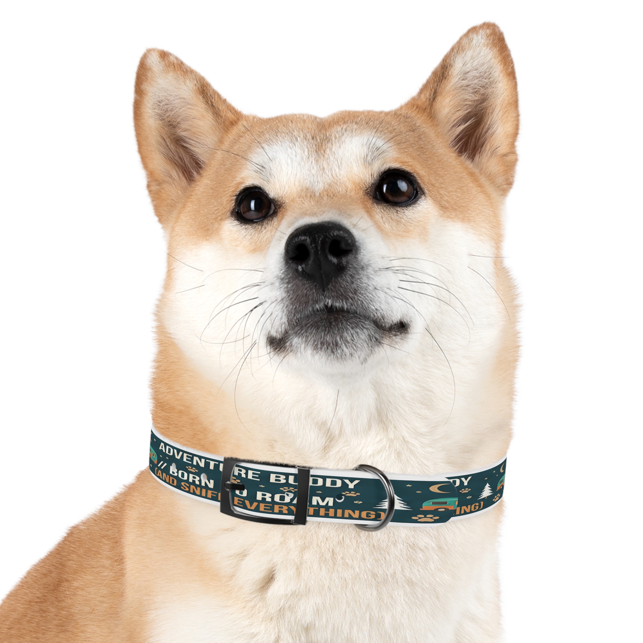 5588939160654088471_4096.jpeg Dog Collar — 'Born to Roam (and Sniff Everything)' Outdoor Pet Collar