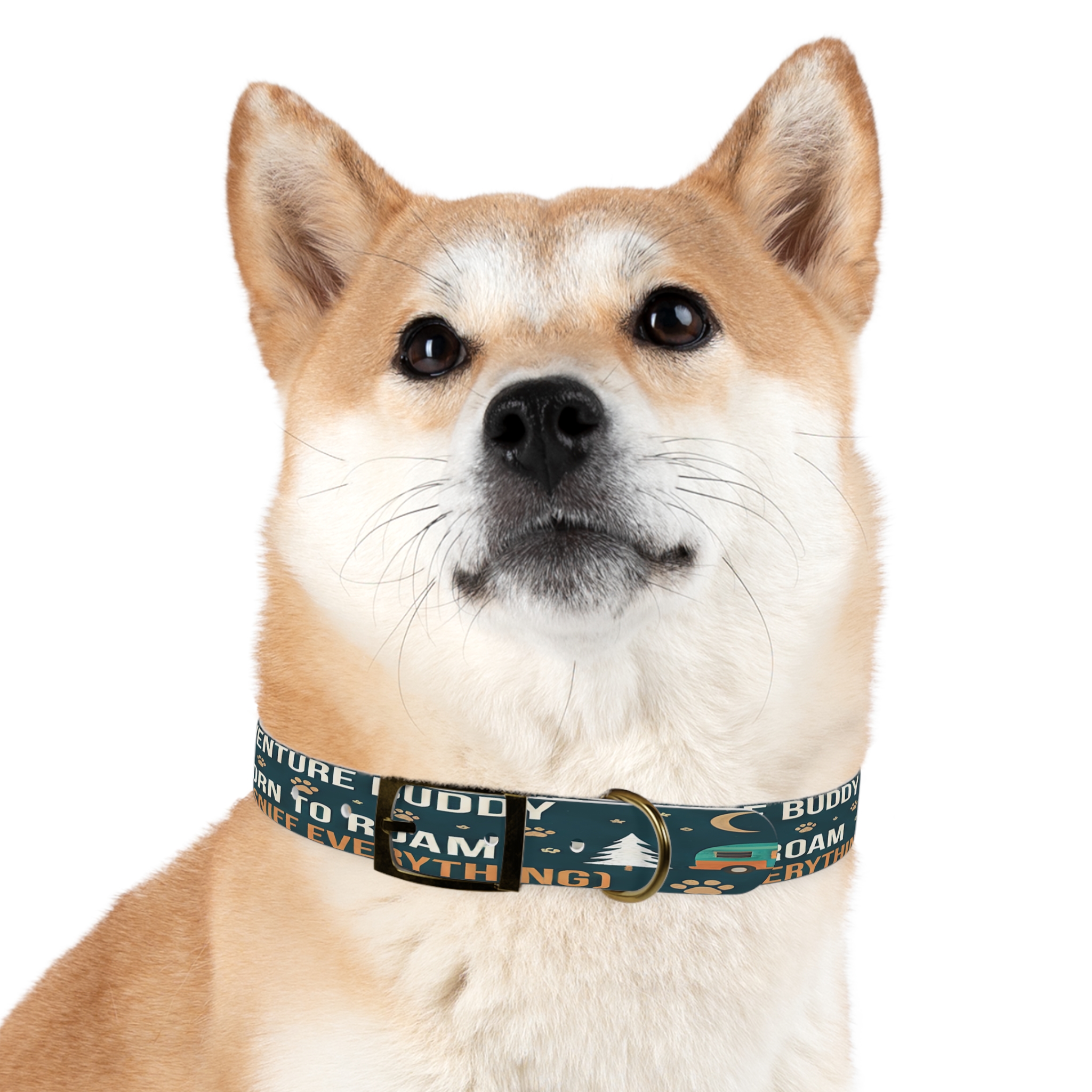 6676124171505787563_4096.jpeg Dog Collar — 'Born to Roam (and Sniff Everything)' Outdoor Pet Collar