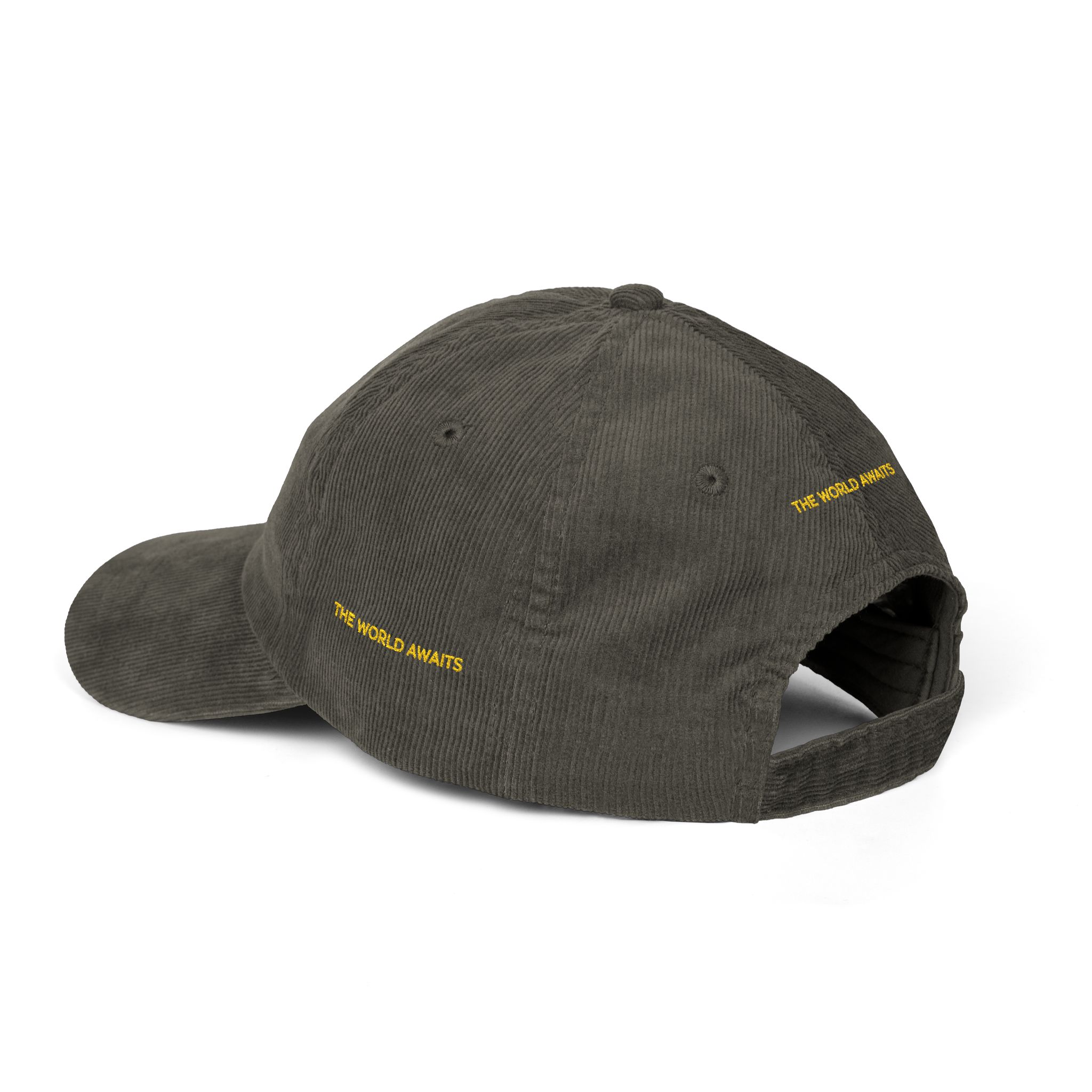 Vintage Corduroy Cap (Embroidery) — "The Worlds Awaits" Embroidered Hat