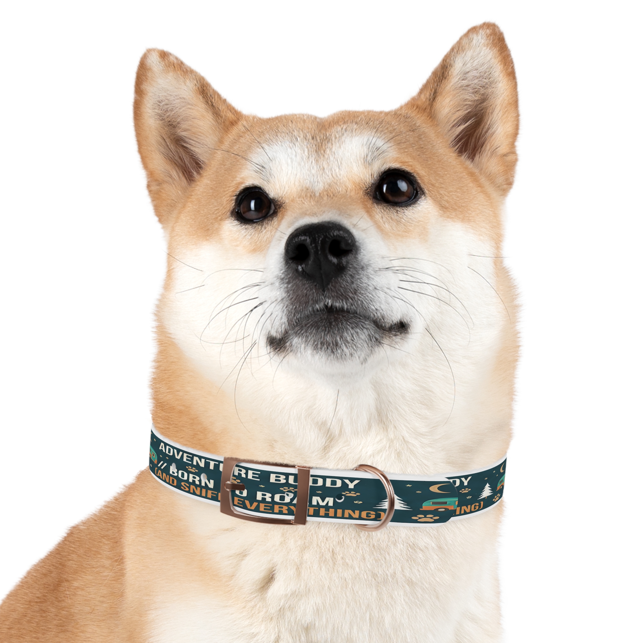 8902478508493585665_4096.jpeg Dog Collar — 'Born to Roam (and Sniff Everything)' Outdoor Pet Collar